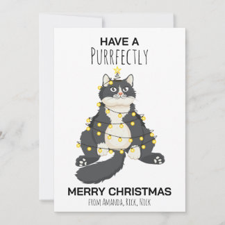 Grappige Vrolijke Kerstkat Minimaal Dierenliefhebb Feestdagenkaart