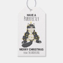 Grappige Vrolijke Kerstkattenboom Schattige Cartoo