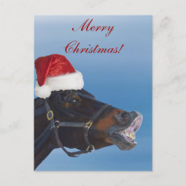 Grappige Vrolijke Kerstmis van het Pony Feestdagenkaart