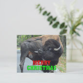 Grappige vrolijke kerststier bizon likken testikel feestdagenkaart (Staand voorkant)