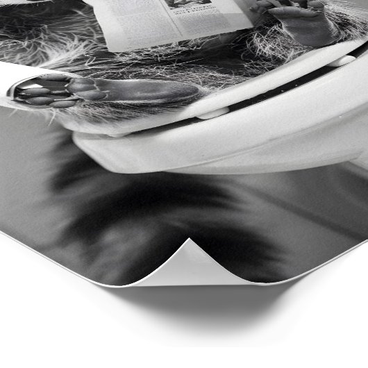 Grappige Wasbeer Badkamer Humorous Animal Wall Art Poster (Hoek)