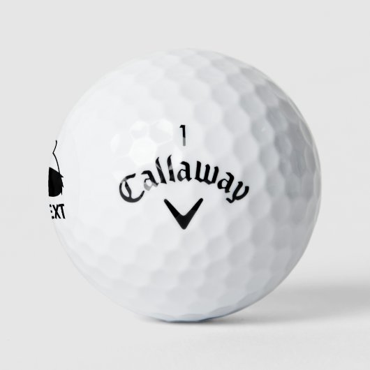 Grappige wasbeer logo aangepaste golfbal cadeau se golfballen (Logo)