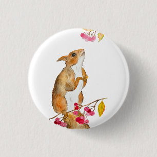 Grappige waterverf eekhoorn op een tak met bessen ronde button 3,2 cm