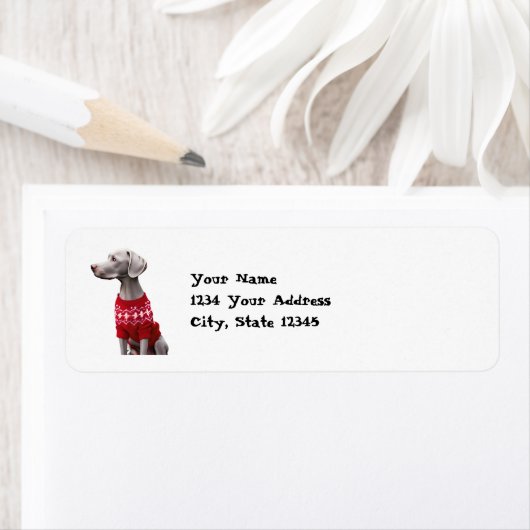 Grappige Weimaraner in Kerstmis Sweater Adres Etiket (Insitu)