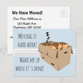 Grappige "We're Moving" Cat Nieuwe Adres Aankondig Aankondigingskaart (Voorkant / Achterkant)