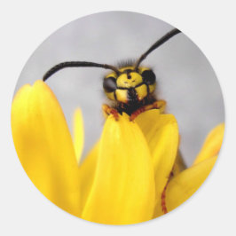 Grappige Wesp Ronde Sticker