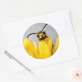Grappige Wesp Ronde Sticker (Envelop)