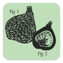 Grappige wetenschappelijke vijg illustratie