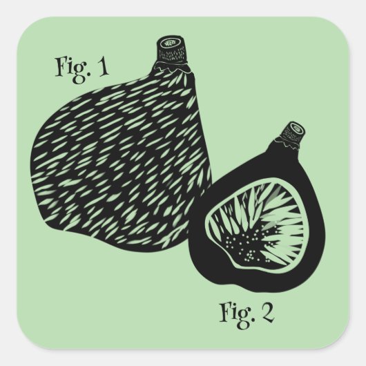 Grappige wetenschappelijke vijg illustratie vierkante sticker (Voorkant)