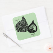 Grappige wetenschappelijke vijg illustratie vierkante sticker (Envelop)