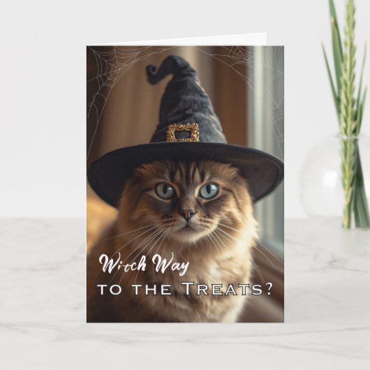 Grappige Whiskerween met Halloween Heksenkat Kaart (Voorkant)