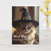 Grappige Whiskerween met Halloween Heksenkat Kaart (Gele Bloem)