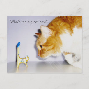 Grappige "Wie is nu de grote kat?" Ansichtkaart Briefkaart