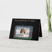 Grappige "Wild Thing" Verjaardag Kaart W / Basset  (Voorkant)