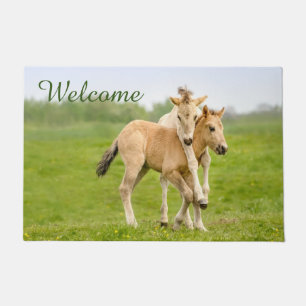 Grappige wilde konik paarden veulens spelen - Welk Deurmat