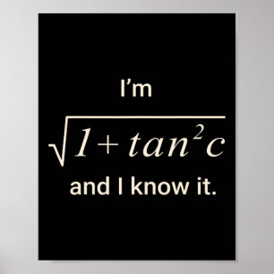 Grappige wiskunde grap T-shirt – I M Sec C trigono Poster