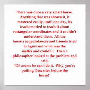 grappige wiskunde poster