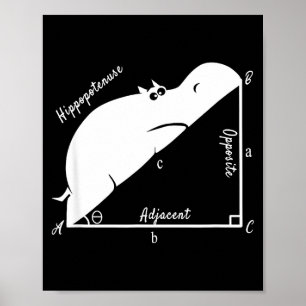 Grappige wiskundeleraar, grappige hypotenusa, meet poster