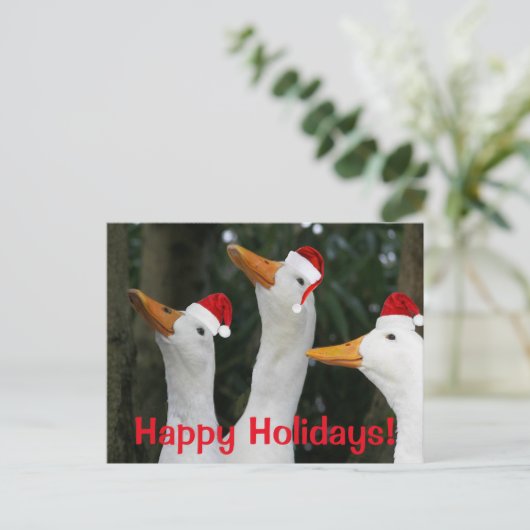Grappige witte eenden dragen rode Santa Petten Feestdagenkaart (Staand voorkant)