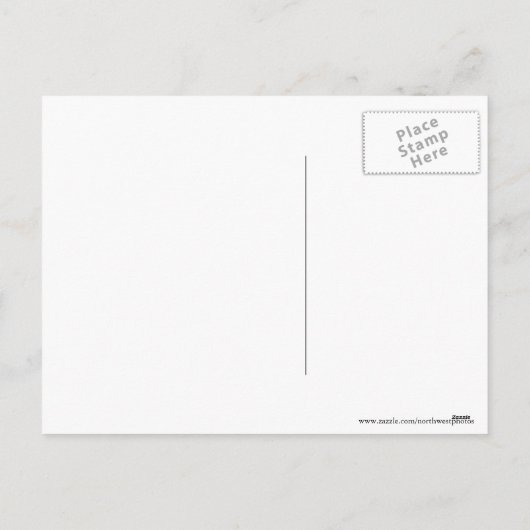 Grappige witte eenden dragen rode Santa Petten Feestdagenkaart (Achterkant)