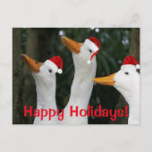 Grappige witte eenden dragen rode Santa Petten Feestdagenkaart (Voorkant)