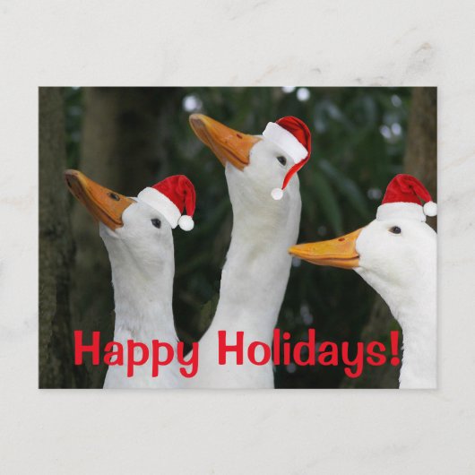 Grappige witte eenden dragen rode Santa Petten Feestdagenkaart (Voorkant)