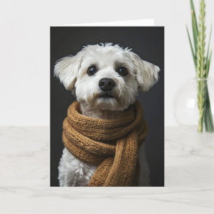 Grappige witte hond sjaal feestdagen kaart