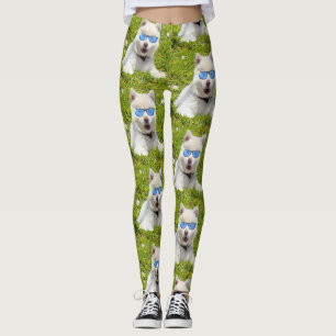 Grappige witte husky-puppy met blauwe zonnebril, leggings