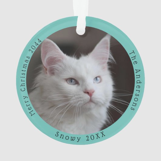 Grappige witte kat bezoeken Santa Custom Foto Ornament (achterkant)