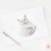 Grappige Witte Kat Sticker – Schattige Chagrijnige (Envelop)