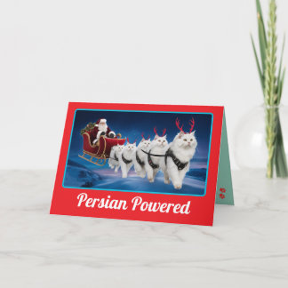 Grappige witte Perzische kat Kerstvakantie Kaart