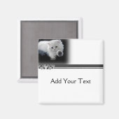 Grappige witte Perzische kat magneet (Voorkant / Achterkant)