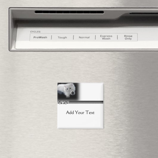 Grappige witte Perzische kat magneet (Insitu (Vaatwasser))