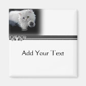 Grappige witte Perzische kat magneet (Voorkant)