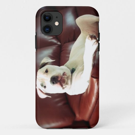 grappige witte pitbull hond op de bank Case-Mate iPhone case (Achterkant)
