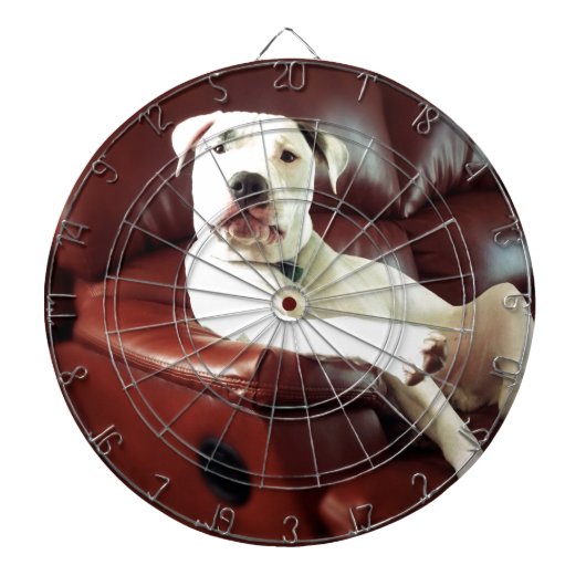 grappige witte pitbull hond op de bank dartbord (Voorkant)