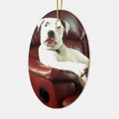 grappige witte pitbull hond op de bank keramisch ornament (Links)