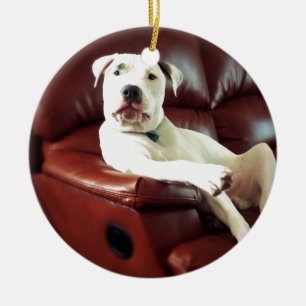 grappige witte pitbull hond op de bank keramisch ornament