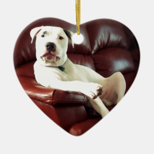 grappige witte pitbull hond op de bank keramisch ornament
