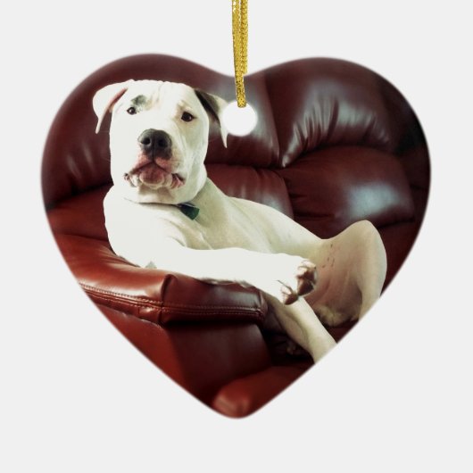 grappige witte pitbull hond op de bank keramisch ornament (Voorkant)