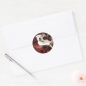grappige witte pitbull hond op de bank ronde sticker (Envelop)