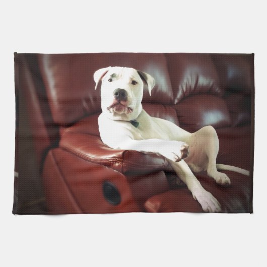 grappige witte pitbull hond op de bank theedoek (Horizontaal)