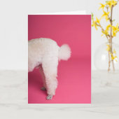 Grappige Witte Poedel Verjaardag Kaart (Gele Bloem)