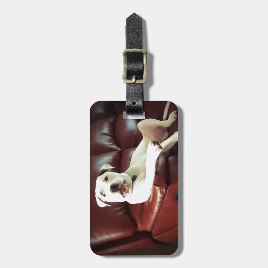 grappige witte stier op de bank bagagelabel (Voorkant verticaal)