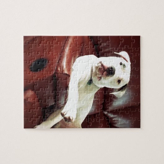 grappige witte stier op de bank legpuzzel (Horizontaal)