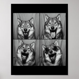 Grappige Wolf Fotohokje Zonnebril Hond  Poster