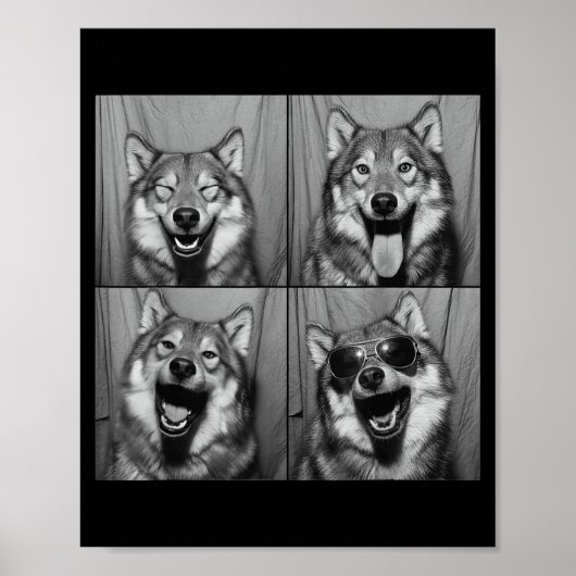 Grappige Wolf Fotohokje Zonnebril Hond Poster (Voorkant)
