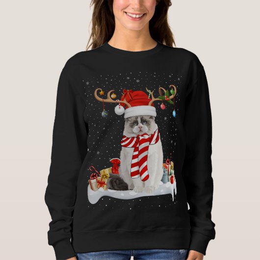 Grappige Xmas Verlichting Rendier Santa Hoed Ragdo Trui (Voorkant)