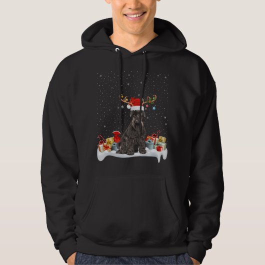 Grappige Xmas Verlichting Rendier Santa Hoed Schna Hoodie (Voorkant)