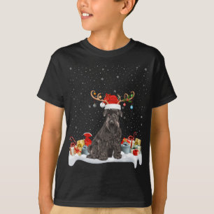 Grappige Xmas Verlichting Rendier Santa Hoed Schna T-shirt